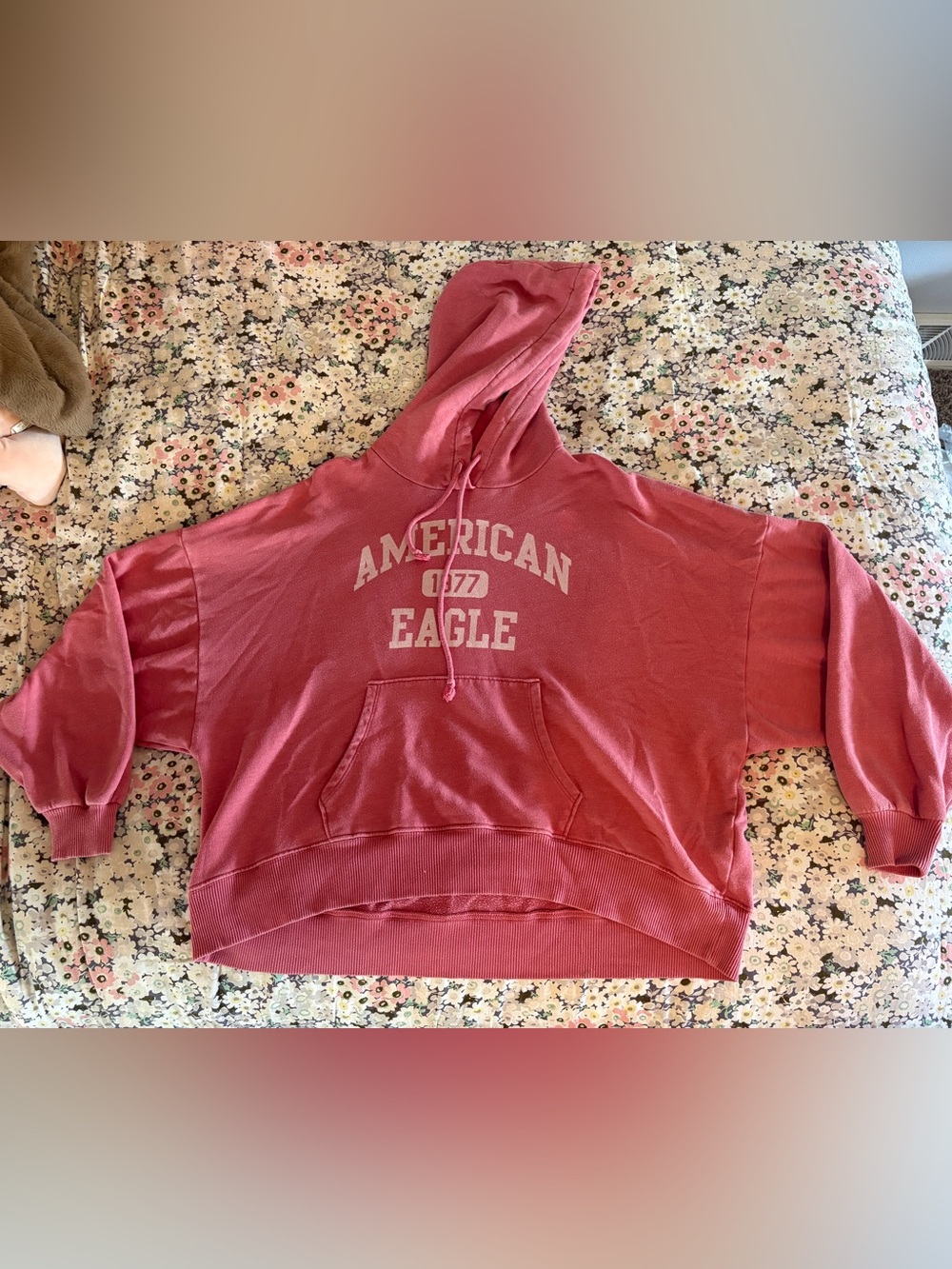 Oversized American Eagle Outfitters Women's Rose Hoodie Sweatshirt